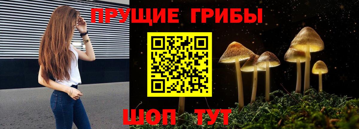 Псилоцибиновые грибы Cubensis Камышин